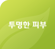 투명한 피부